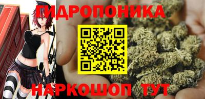 трава Славянск-на-Кубани
