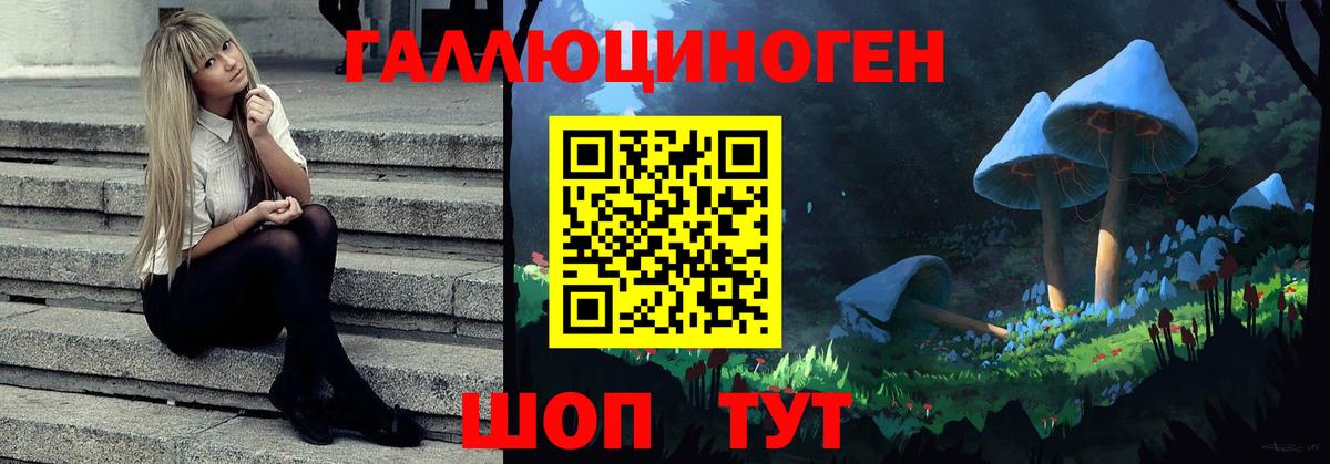 Псилоцибиновые грибы прущие грибы  Галлюциногенные грибы прущие грибы  Вход с VPN  Новосибирск 